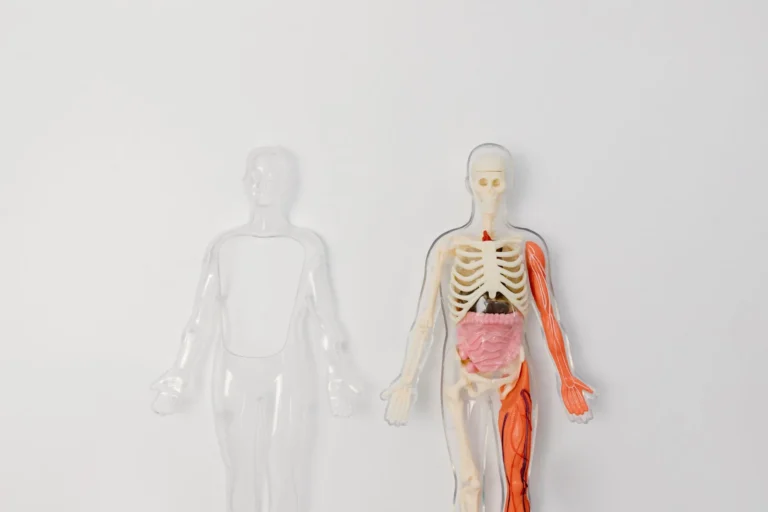 How GLP-1 Agonists Work for Weight Loss: Full Guide